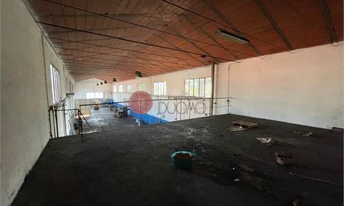 CAPANNONE INDIPENDENTE MQ 450 CON AREA CORTILIVA