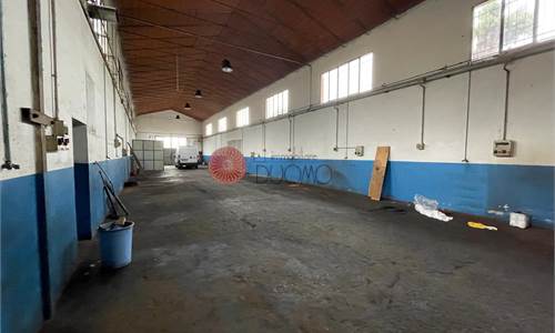 CAPANNONE INDIPENDENTE MQ 450 CON AREA CORTILIVA CIRCOSTANTE
